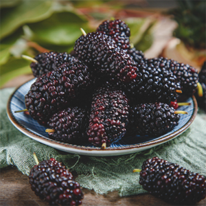 3c10b3ad0dc30f3438379f2abcf7b947 540 300x300