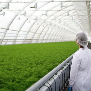 5884816832aebdd4a8d59887726f32d6 540 300x300